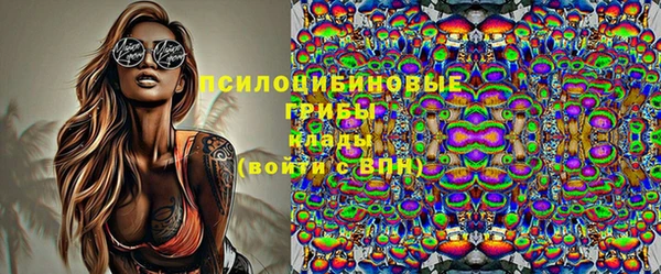 твердый Зеленодольск