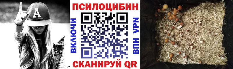 Галлюциногенные грибы MAGIC MUSHROOMS  блэк спрут зеркало  Псков 