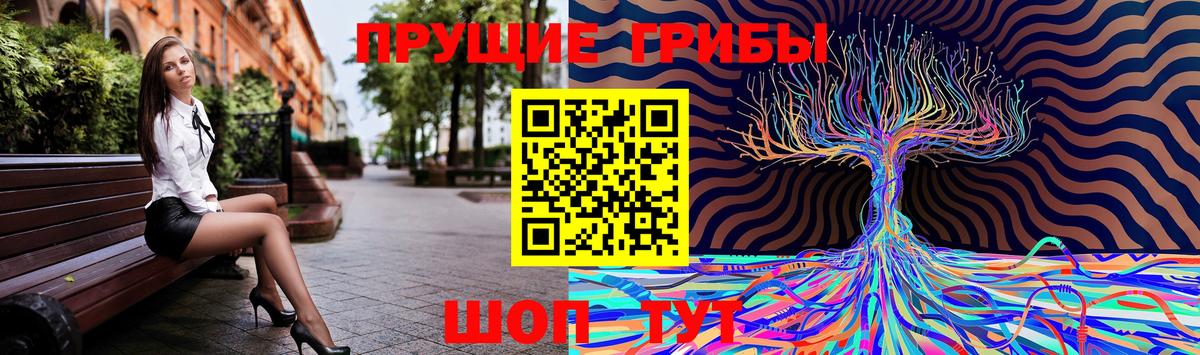 Псилоцибиновые грибы Cubensis Псков